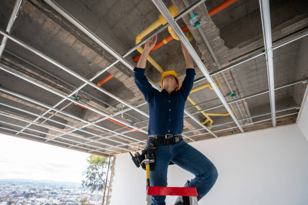 Best Clogged Drain Plumber  in Brooklet, GA